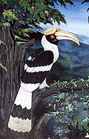 'Painting of a Hornbill at the Outer Walls of Dusit Zoo | Bangkok' by Asienreisender